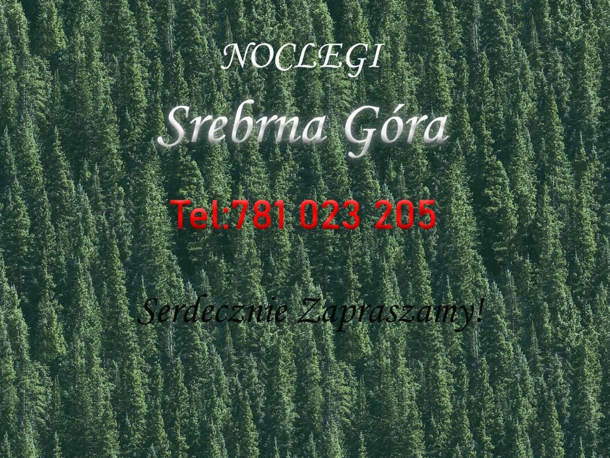 Noclegi Pod Twierdza Srebrna Góra Екстериор снимка